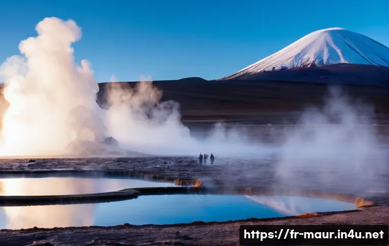 아타르 사막 투어 관련 이미지 2